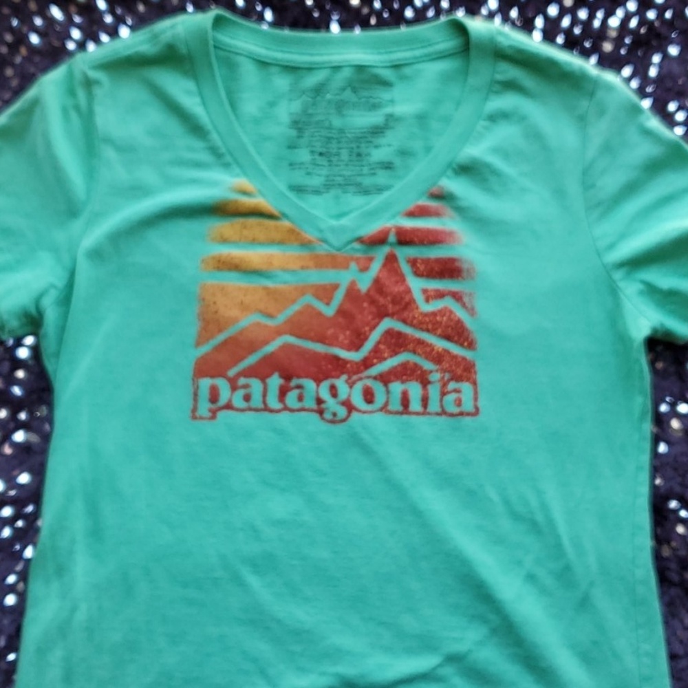 Patagonia Tee